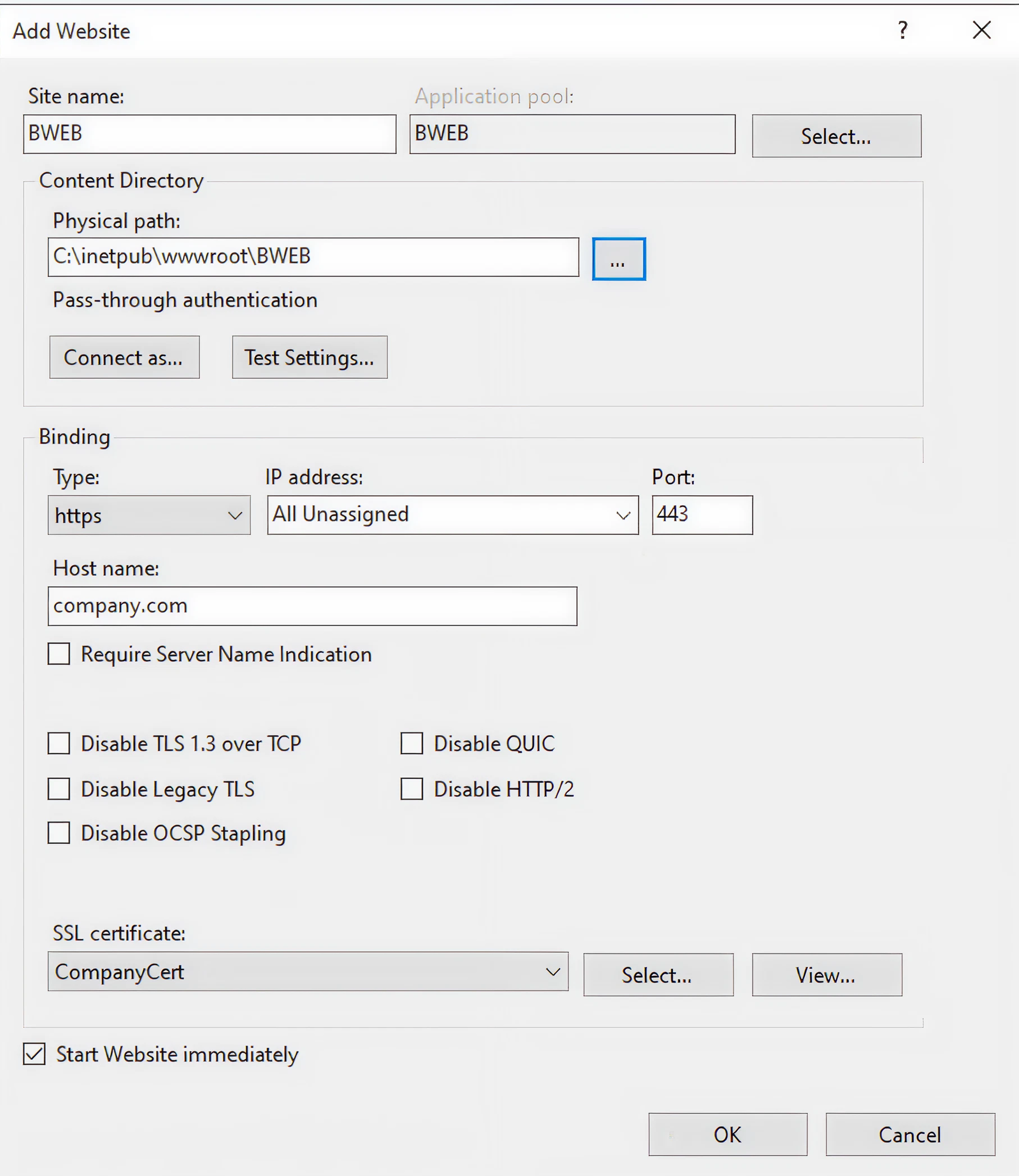 Configuration settings for adding a new website in IIS, including site name and bindings.